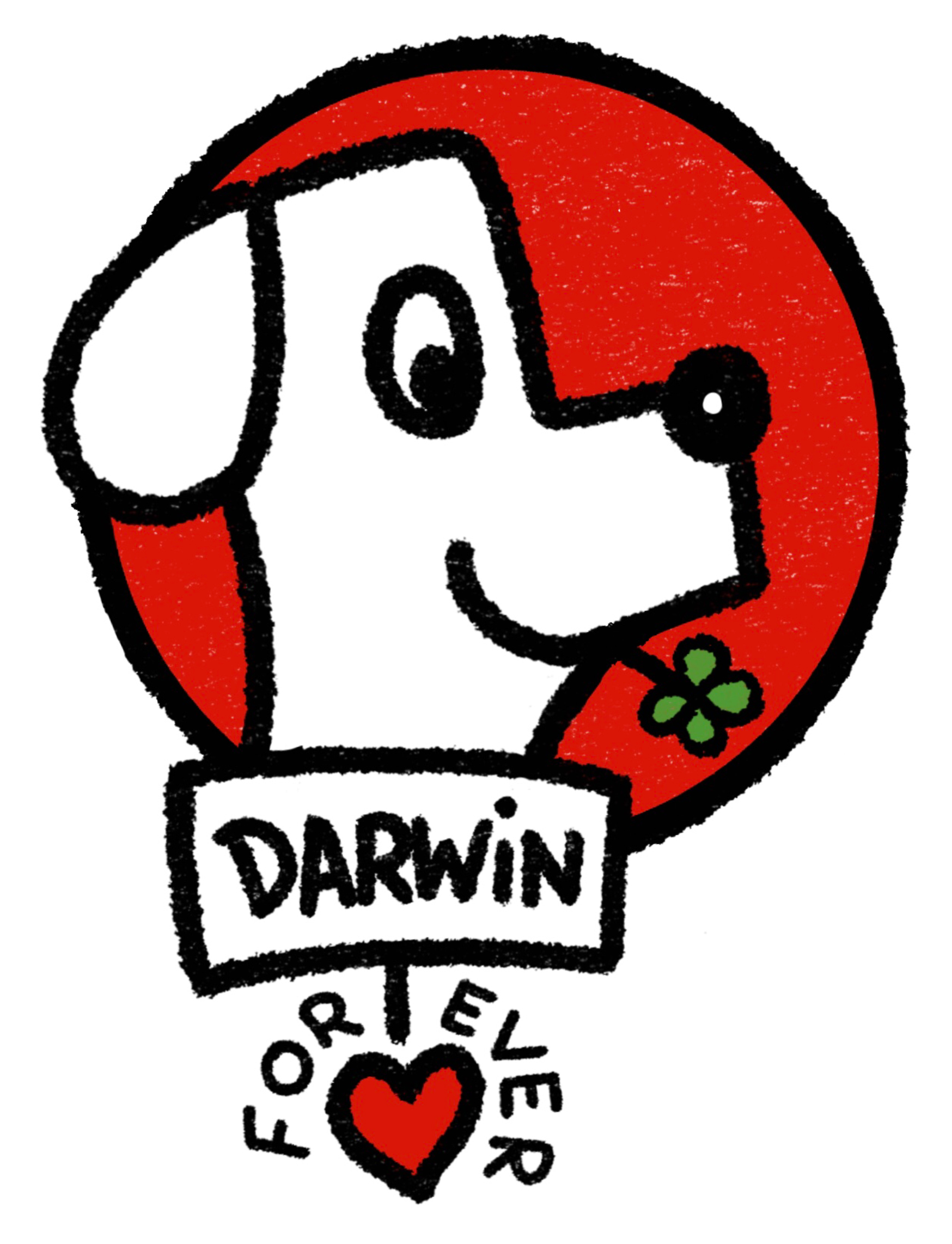 Logo Darwin Forever 2 mo