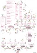 Arbre-Genealogique-de-la-Rose-100cmx1415cm-copie