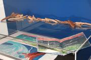 IMG4976b
