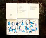 9573105115674347234211875021082296787140608n